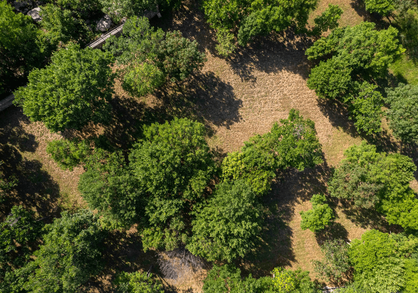 camp site view