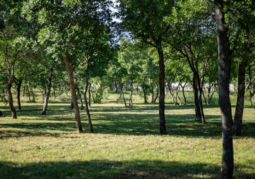 camp site view