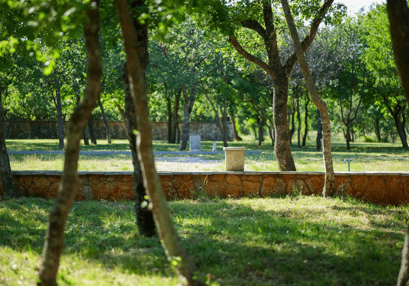 camp site view