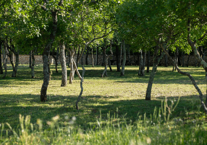 camp site view