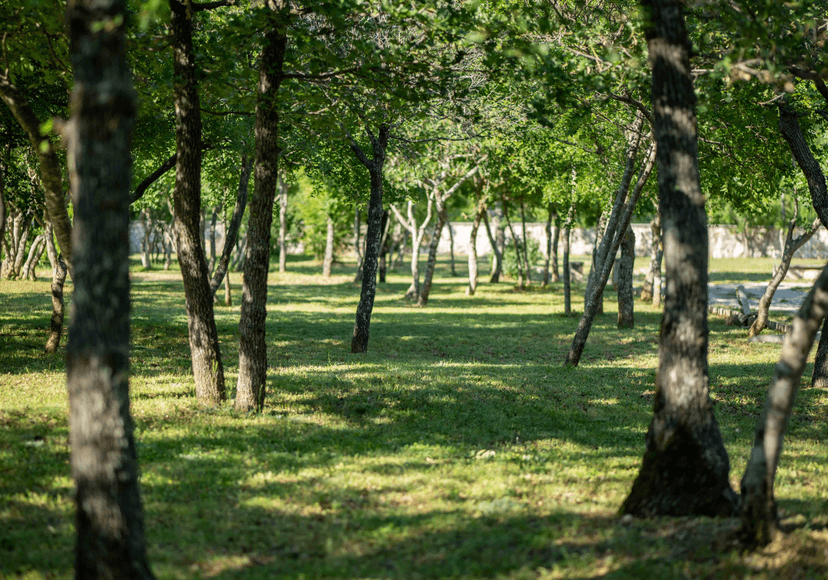 camp site view