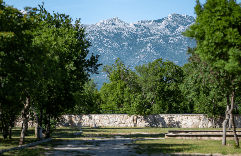 camp site view