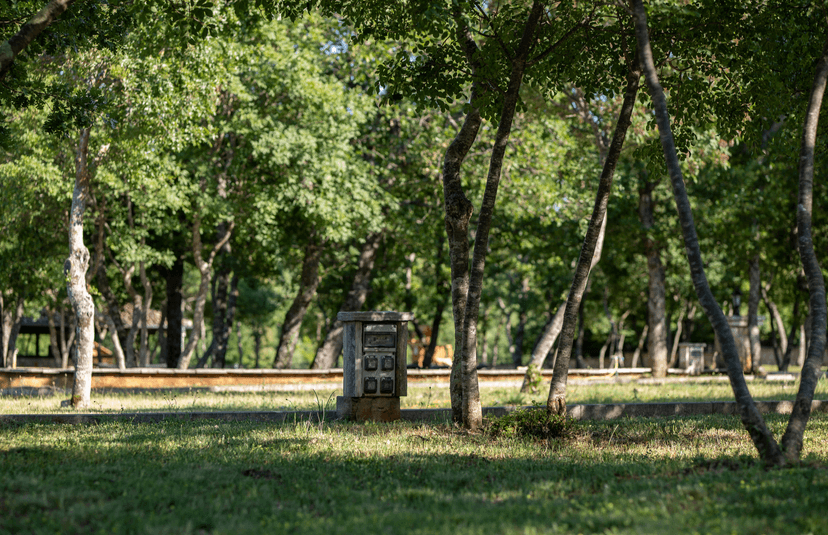 camp site view