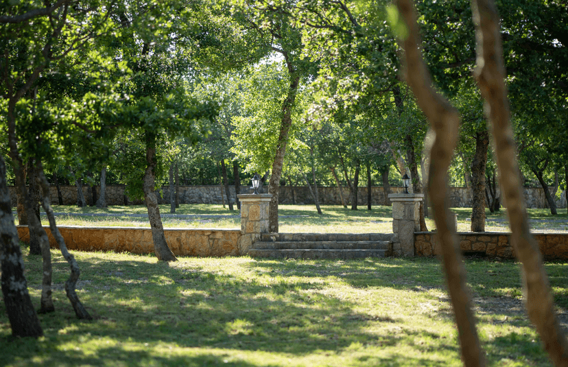 camp site view